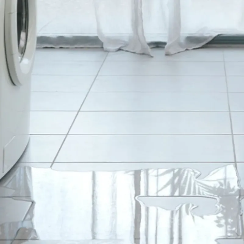 Appliance Leak Cleanup in Fowler, MI