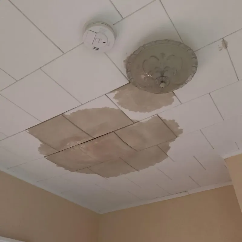 Ceiling Water Damage Repair in Fowler, MI
