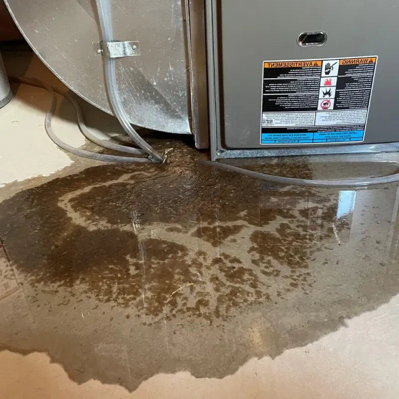 Pipe Burst and Leak Restoration in Fowler, MI