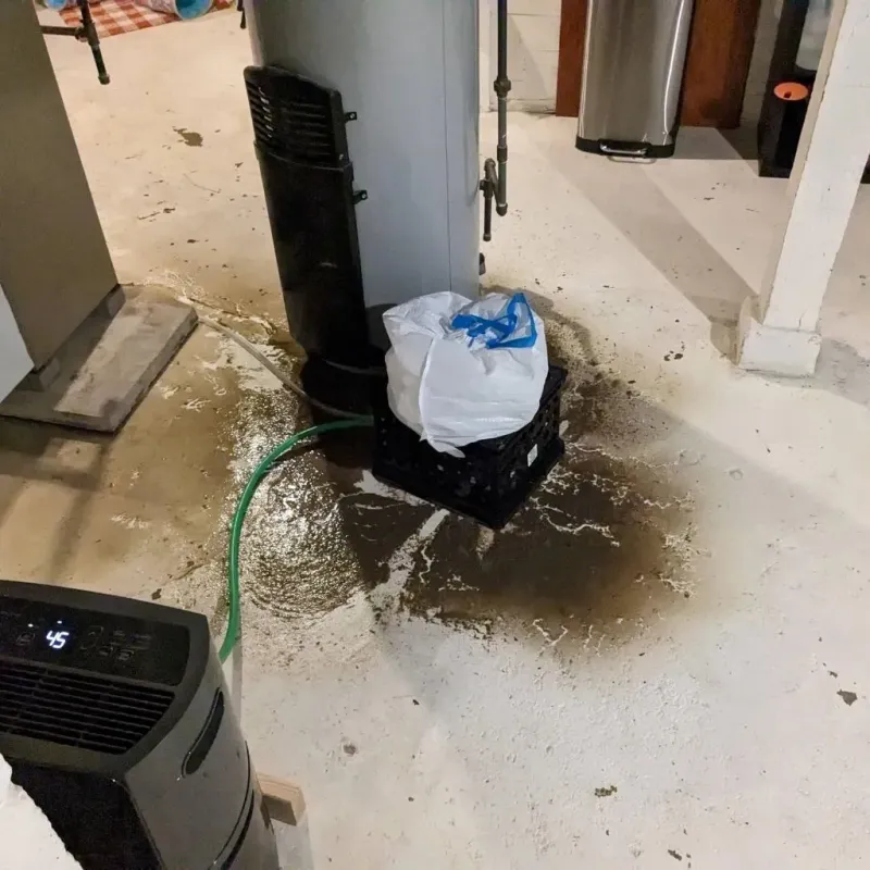 Sewage Backup Cleanup Service in Fowler, MI